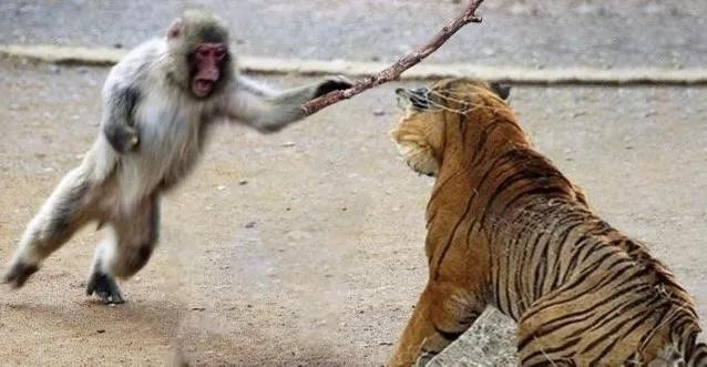 游戏辅助工具_黑神话悟空游戏修改器骗局_警惕游戏修改器诈骗