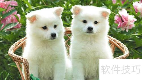 卸载好桌道软件右键菜单残留清理_取消好桌道壁纸右键菜单添加选项_卸载残留清理