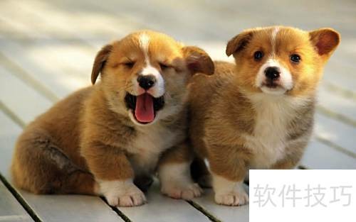 卸载残留清理_卸载好桌道软件右键菜单残留清理_取消好桌道壁纸右键菜单添加选项