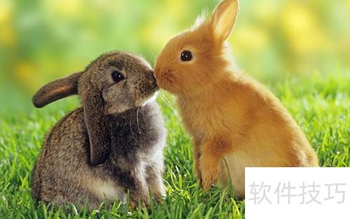 取消好桌道壁纸右键菜单添加选项_卸载好桌道软件右键菜单残留清理_卸载残留清理