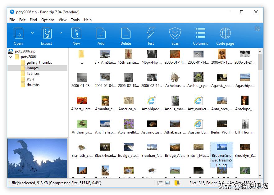 文档写作工具推荐_办公效率神器_冷门软件下载