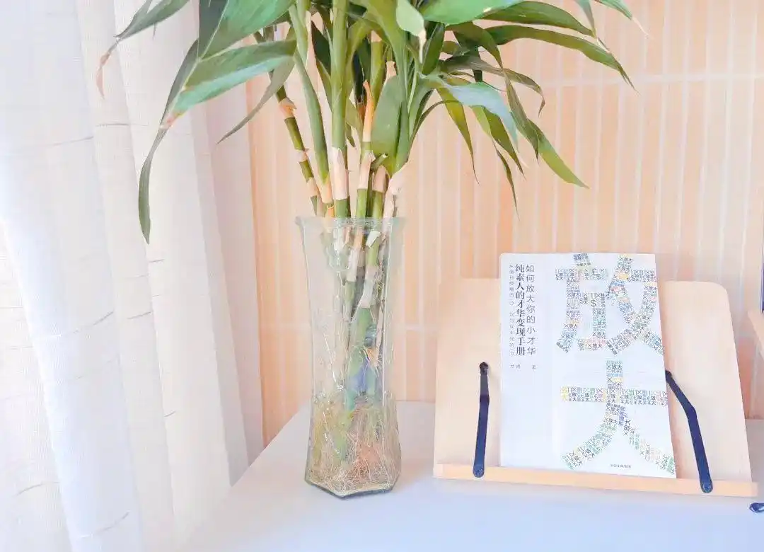 小红书运营经验分享_自媒体创作神器_自媒体效率工具推荐