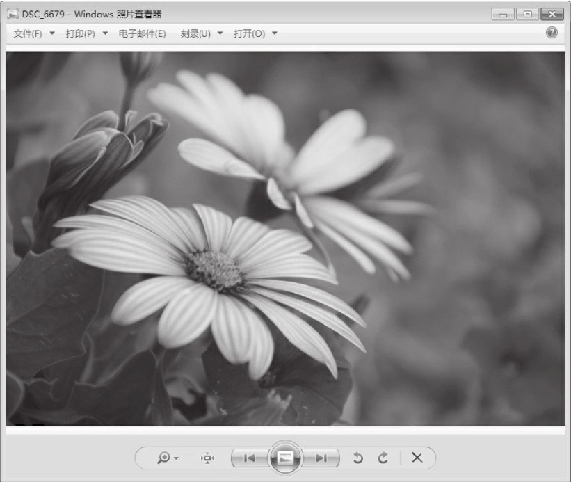 老年人电脑软件_电脑对中老年人的作用_中老年人学电脑