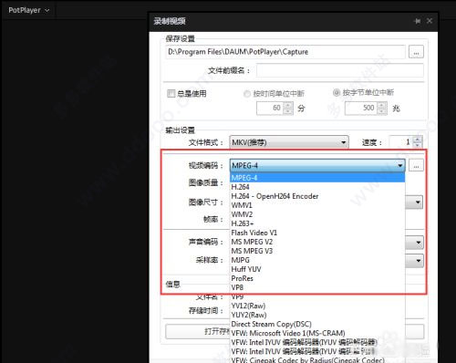 免安装绿色版_potplayer强大视频解码器_potplayer绿色免安装版