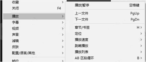 免安装绿色版_potplayer强大视频解码器_potplayer绿色免安装版