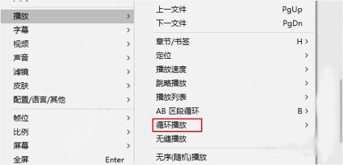 免安装绿色版_potplayer绿色免安装版_potplayer强大视频解码器