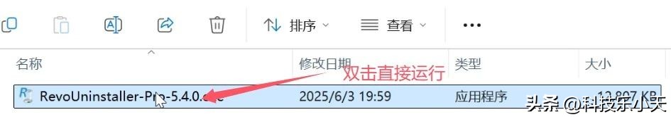 RevoUninstaller 绿色免安装版_卸载残留清理_彻底卸载软件工具