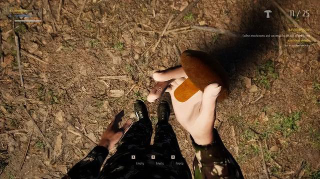 模拟器_Steam模拟游戏节 独立模拟器游戏 开发者模拟器